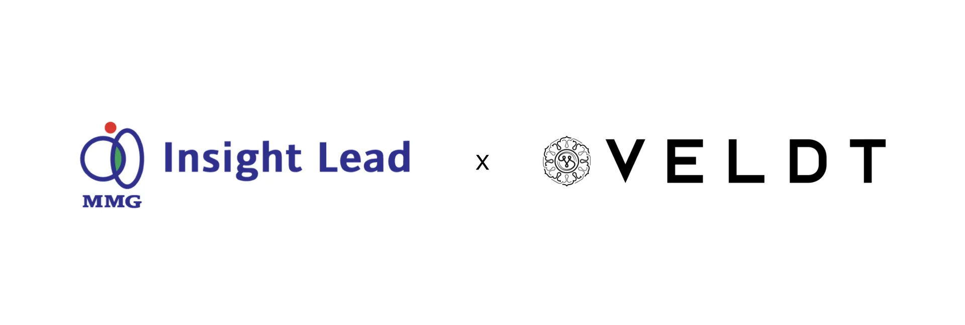 Insight Lead x VELDT